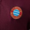 Bayern Munich Polo Shirt - Maroon