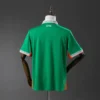 Ireland Home Fan Version 2025