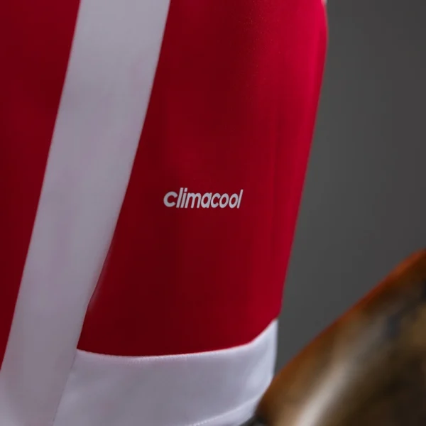 Southampton 15/16 Home Retro Jersey