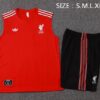 Liverpool 25/26 Training Vest Kit Red – Sleeveless Football Training Top