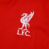 Liverpool 25/26 Training Vest Kit Red – Sleeveless Football Training Top