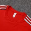 Liverpool 25/26 Training Vest Kit Red – Sleeveless Football Training Top
