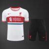 Liverpool 2025/26 Short Sleeve White Training Kit – Adult