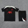 Liverpool 2025/26 Short Sleeve Black Training Kit – Adult