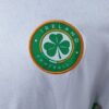 img_2333 Ireland National Team 2024/25 Away Jersey – Official Style Edition