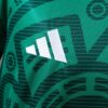 Mexico 2026 World Cup Fan Version Green Jersey – Long Sleeve