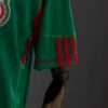 img_5546-2 Mexico 2010 Home Jersey – Classic Edition National Team Kit