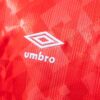 img_5797-2 Wales 1990/92 Home Retro Jersey – Classic Edition