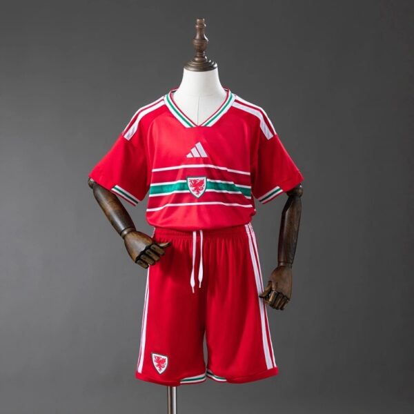img_5824-2 Wales 2026 Home Kids Kit – Official Style National Team Set