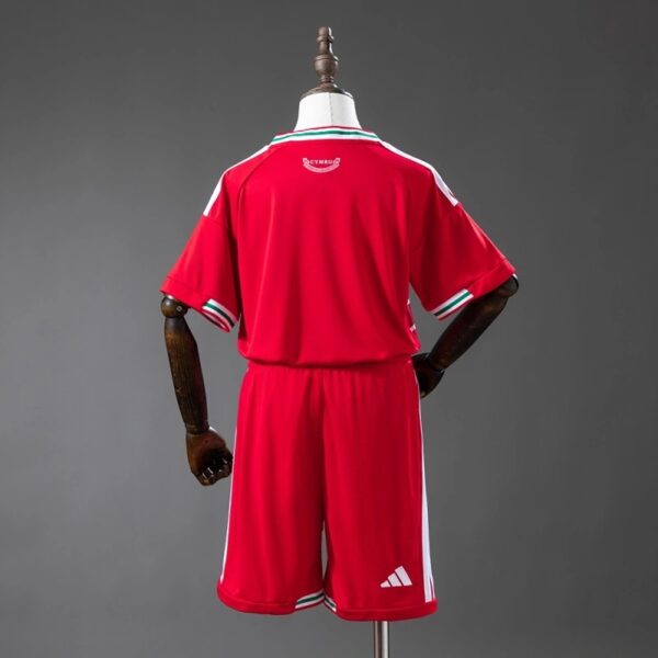 img_5825-2 Wales 2026 Home Kids Kit – Official Style National Team Set