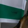 Celtic 2026/27 Home Jersey – Official