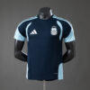 ae7a24dc Argentina 2026 Training Jersey – Elite Performance Player Edition