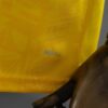 Borussia Dortmund 206/27 Home Jersey